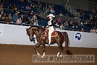08usn-03844 proof