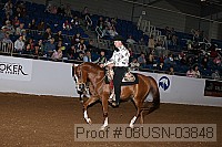 08usn-03848 proof