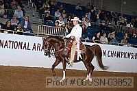08usn-03852 proof