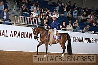 08usn-03853 proof