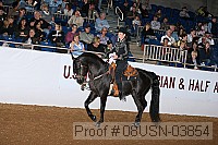 08usn-03854 proof