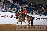 08usn-03856 proof
