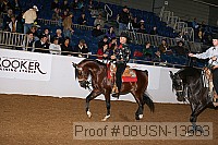 08usn-13663 proof