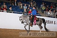 08usn-13706 proof
