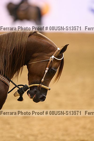 Proof 08usn-s13571