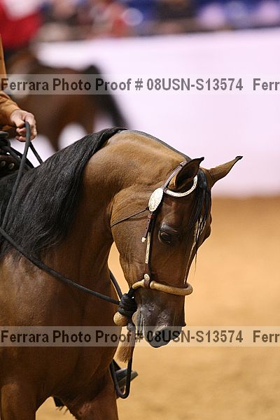 Proof 08usn-s13574