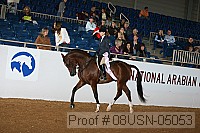 08usn-05053 proof