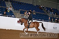 08usn-13020 proof