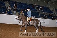 08usn-13024 proof