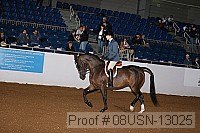 08usn-13025 proof