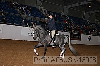 08usn-13028 proof