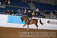 08usn-13029 proof