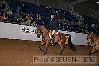 08usn-13032 proof