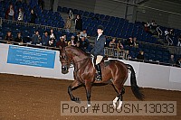 08usn-13033 proof