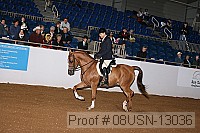 08usn-13036 proof