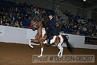 08usn-08287 proof