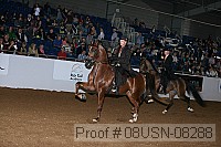 08usn-08288 proof
