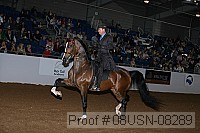 08usn-08289 proof