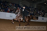 08usn-08290 proof