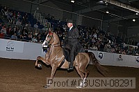 08usn-08291 proof