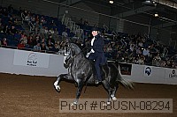 08usn-08294 proof