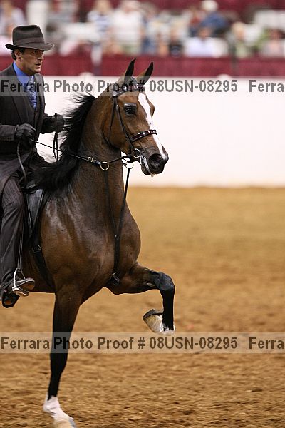 Proof 08usn-08295