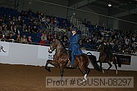 08usn-08297 proof