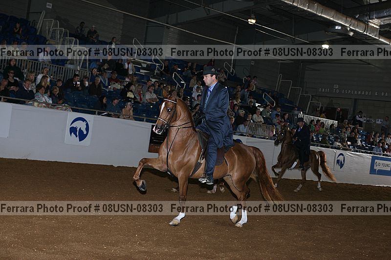 Proof 08usn-08303
