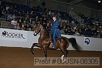 08usn-08305 proof