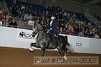 08usn-08307 proof