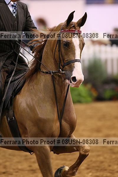 Proof 08usn-08308