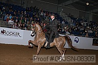 08usn-08309 proof