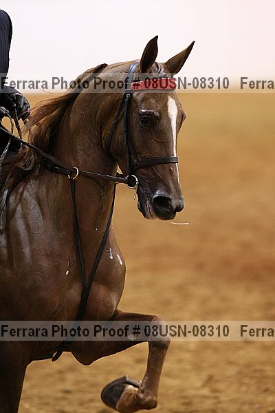 Proof 08usn-08310