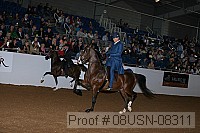 08usn-08311 proof