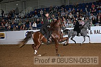 08usn-08316 proof