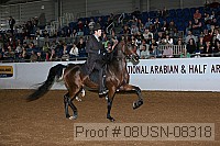 08usn-08318 proof