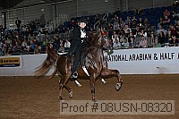 08usn-08320 proof
