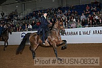 08usn-08324 proof