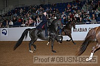 08usn-08325 proof