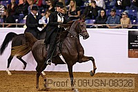 08usn-08328 proof