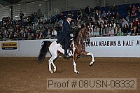 08usn-08332 proof