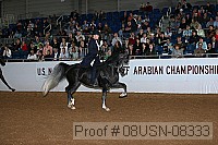 08usn-08333 proof