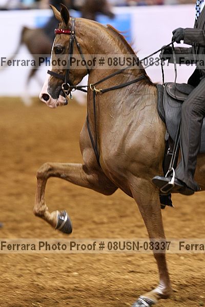 Proof 08usn-08337