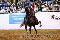 08usn-08338 proof