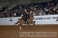 08usn-08343 proof