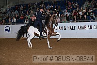 08usn-08344 proof