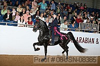08usn-08385 proof