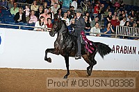 08usn-08386 proof
