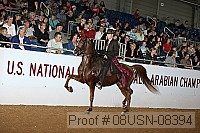 08usn-08394 proof