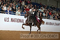08usn-08401 proof